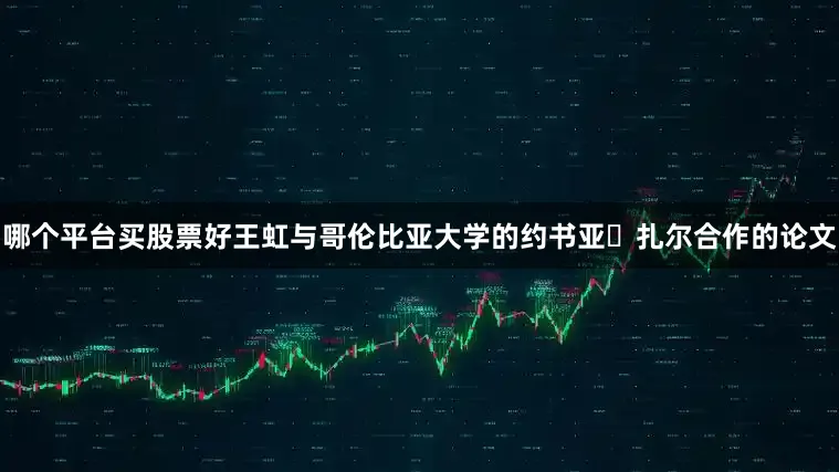 哪个平台买股票好王虹与哥伦比亚大学的约书亚・扎尔合作的论文