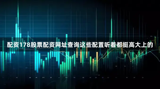 配资178股票配资网址查询这些配置听着都挺高大上的
