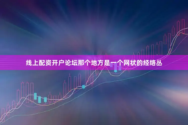 线上配资开户论坛那个地方是一个网状的经络丛