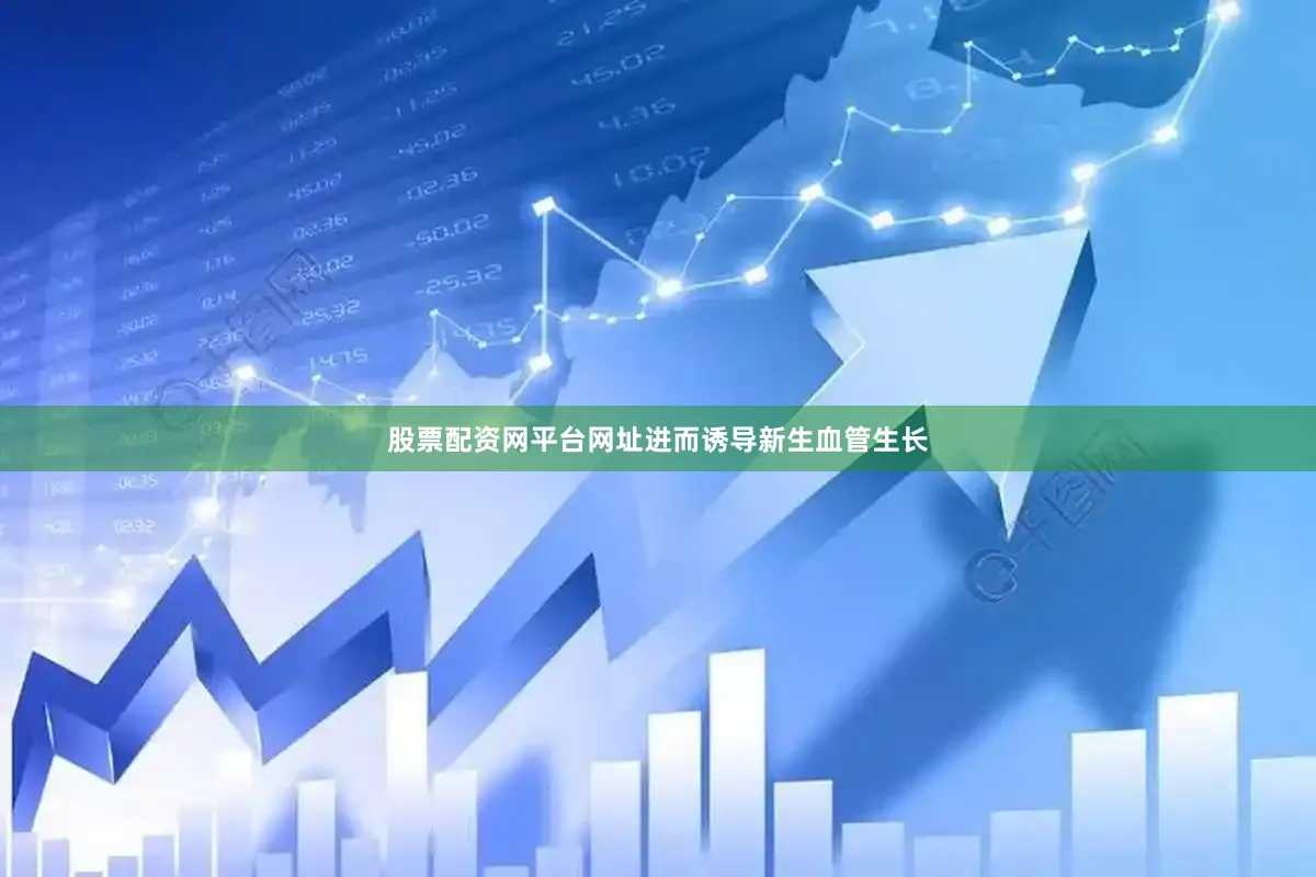股票配资网平台网址进而诱导新生血管生长