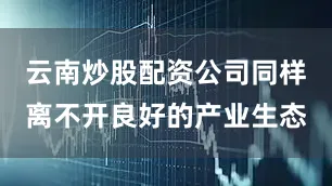 云南炒股配资公司同样离不开良好的产业生态