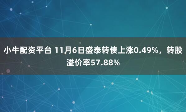 小牛配资平台 11月6日盛泰转债上涨0.49%，转股溢价率57.88%