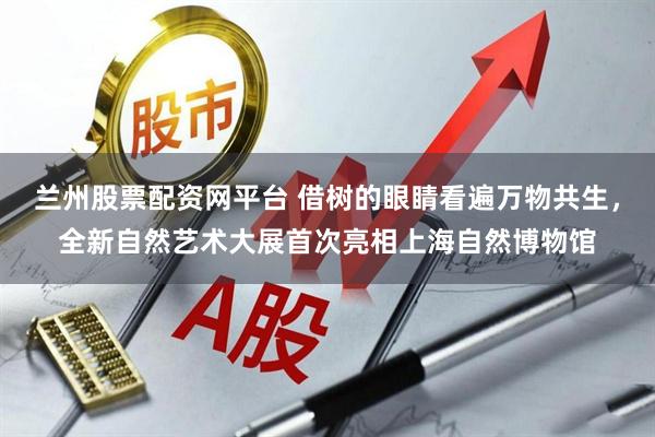 兰州股票配资网平台 借树的眼睛看遍万物共生，全新自然艺术大展首次亮相上海自然博物馆